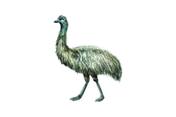 Emu Watercolor: Australia Crafts for Blog Publishing