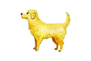 Golden Retriever Watercolor for Dog Crafts & Products