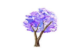 Jacaranda Tree Watercolor for Australian Crafts & Branding