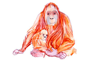 Mom and Baby Orangutangs Watercolor Crafts for Animal Brands