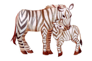 Mom and Baby Zebras Watercolor: Crafts & Animals Branding