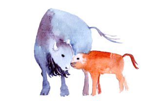 Mom & Baby Buffalos Watercolor Crafts & Animals Review