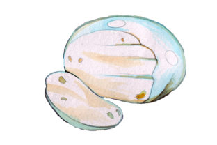 Mozzarella Cheese in Watercolor: A Crafts & Food Amp Asset