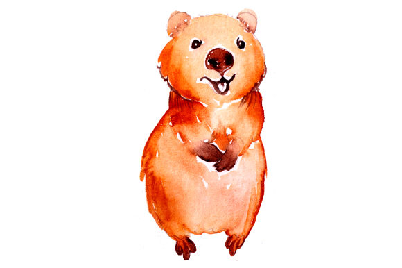 Quokka in Watercolor Style: An Embroiderer’s Review