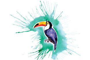 Toucan Paint Splatter Watercolor for Crafts & Animals