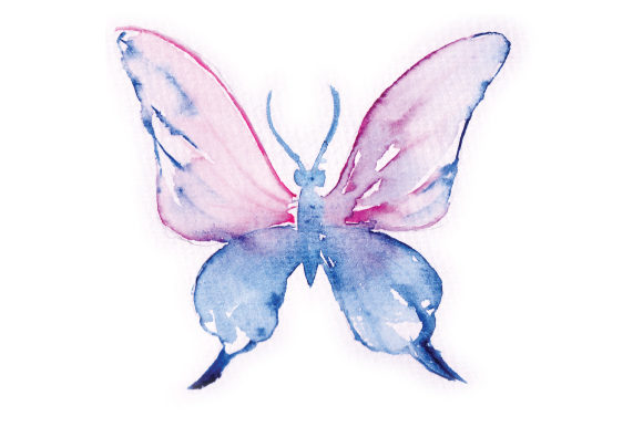 Watercolor Pink and Blue Butterfly for Crafts & Animals