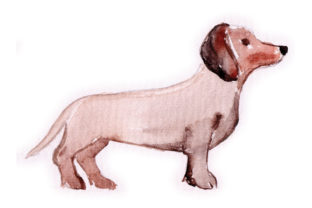 Watercolour Dachshund: An Embroidery Design Review