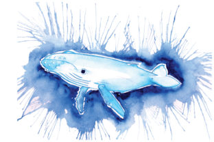 Whale in Paint Splatter Watercolor Style: Crafts & Animals Asset